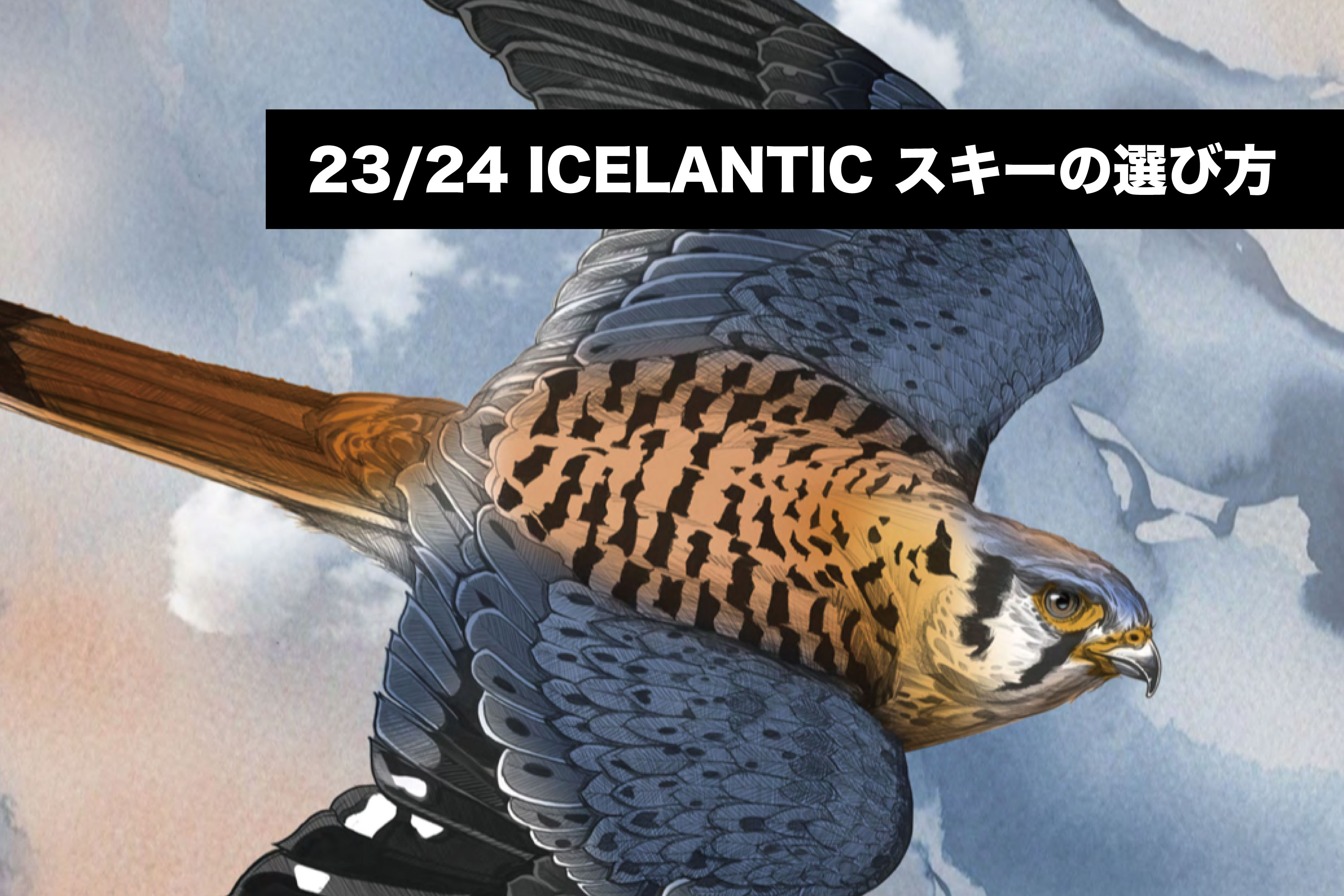 今シーズンも楽しみで仕方ない！23/24 ICELANTIC スキーの選び方